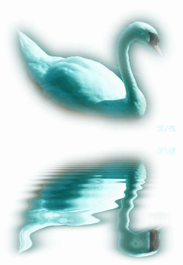 Bonjour  tout le monde...